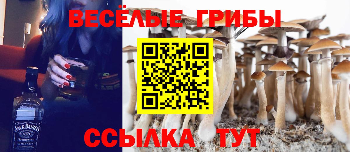 Чайковский  Галлюциногенные грибы мухоморы  Вход с VPN  как найти наркотики  Псилоцибиновые грибы Cubensis 